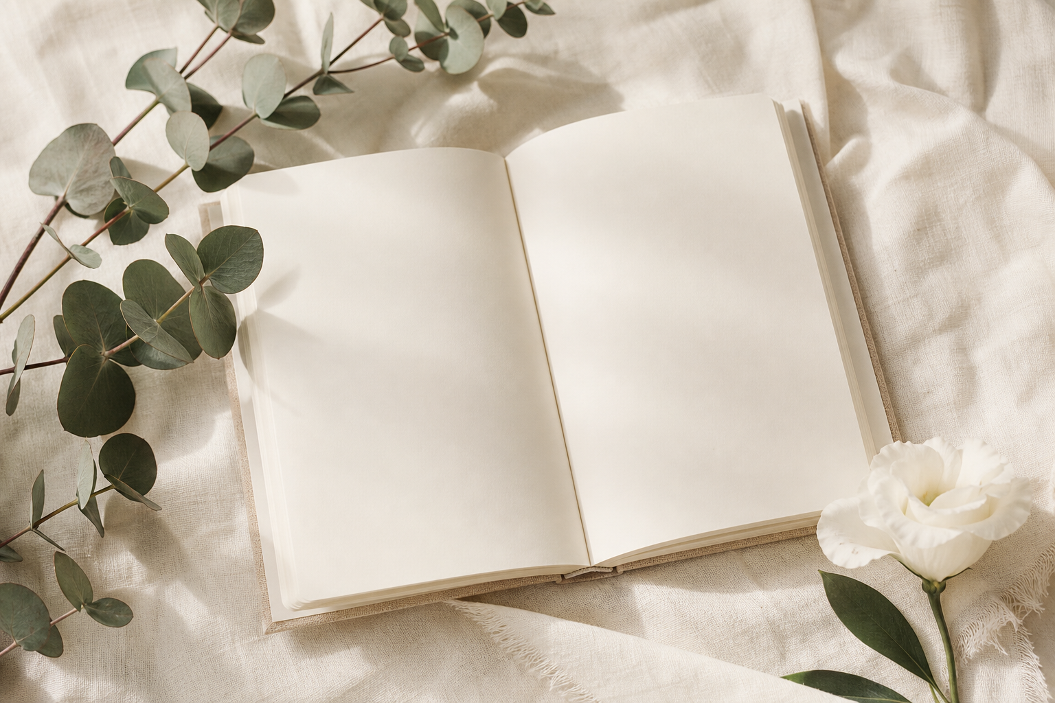 Forgiveness — 4-Week Women's Bible Study — Set free to forgive